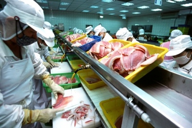 Bài học nâng cao chất lượng ngành hải sản từ Mỹ